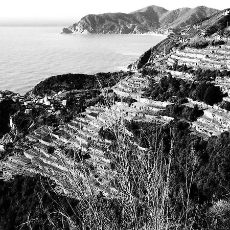 New Casa Paola_biassa_cinque Terre Lejlighed
